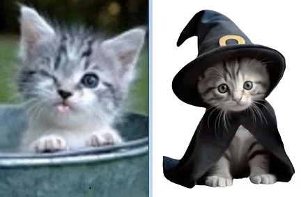 Misswish n costume.webp